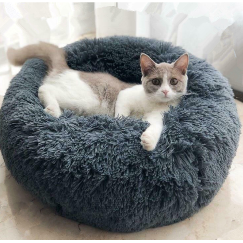Calming Dog Bed
