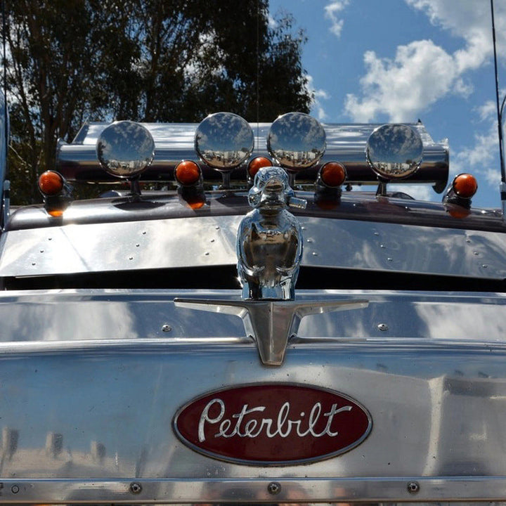 Angry Duck Radiator Emblem with Chrome Plating and Dual Pin Mounting, 6x4 Inches
