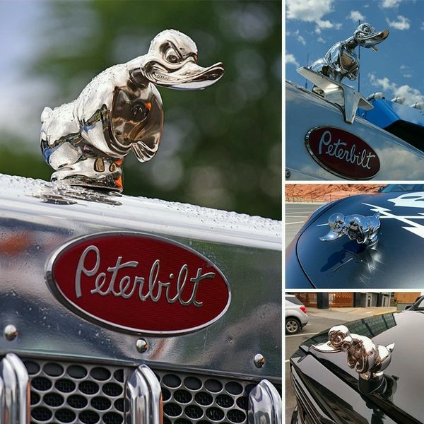 Angry Duck Radiator Emblem with Chrome Plating and Dual Pin Mounting, 6x4 Inches