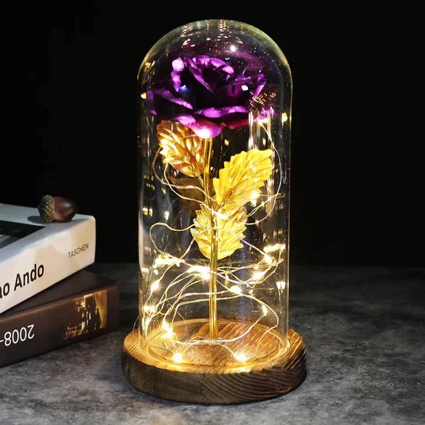 Preserved Rose with LED Dome Display and Battery Power