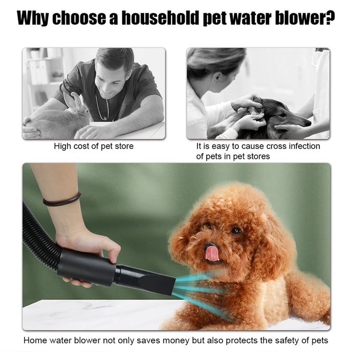 High Velocity Dog Grooming Dryer with Adjustable Heat and Extended Flexible Hose