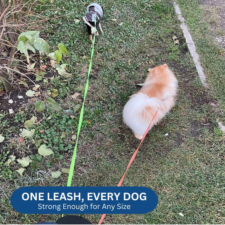 10FT Dual Retractable Dog Leash with Built-In Flashlight and Waste Bag Holder