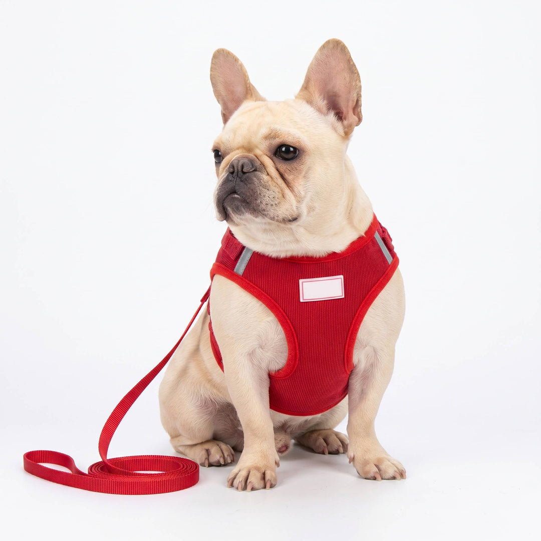 Reflective Corduroy Dog Harness and Leash Set, Breathable Chest Strap Walking Set for Small and Medium Pets