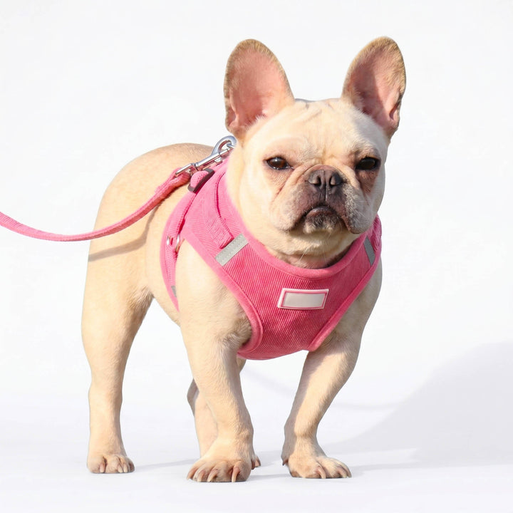 Reflective Corduroy Dog Harness and Leash Set, Breathable Chest Strap Walking Set for Small and Medium Pets