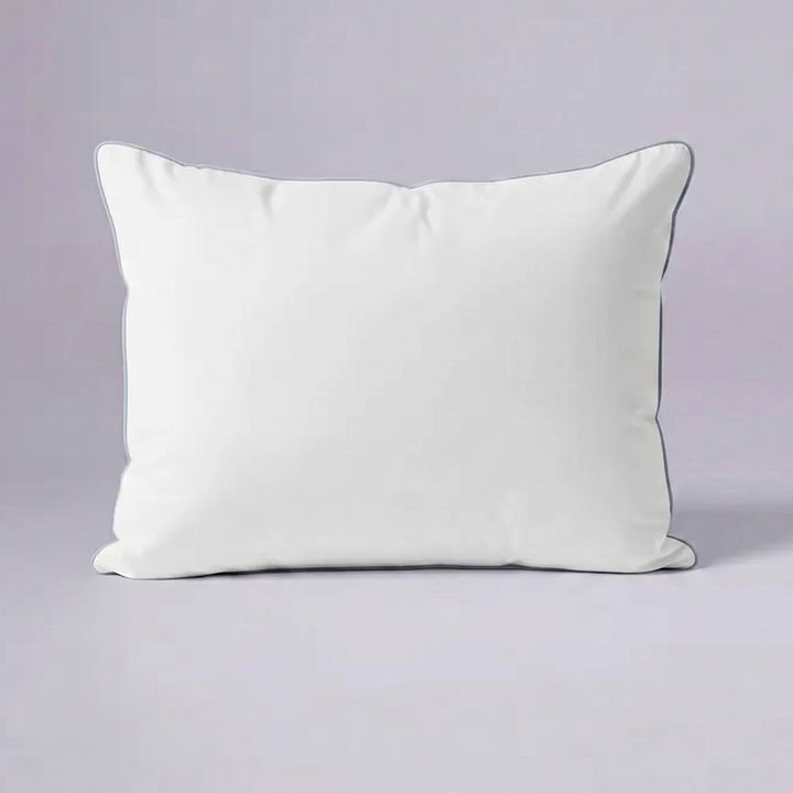 Water-Resistant and Stain Resistant Pillow, Soft Down Alternative Bed Pillow, Machine Washable Breathable Pillow