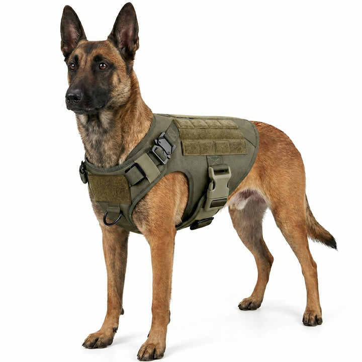 Tactical Military Dog Vest Harness Set with Collar and Leash, Adjustable Training and Hunting Vest for Medium and Large Breeds