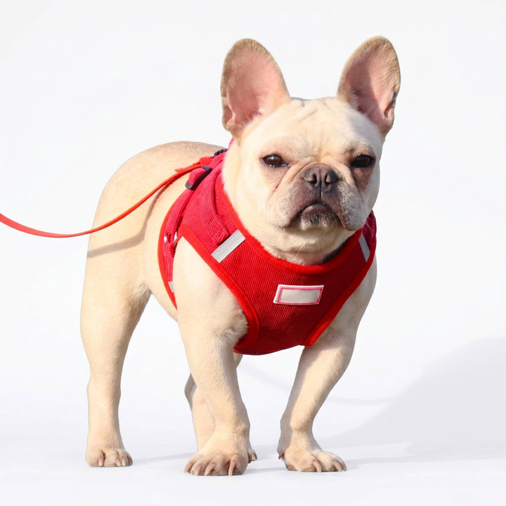 Reflective Corduroy Dog Harness and Leash Set, Breathable Chest Strap Walking Set for Small and Medium Pets