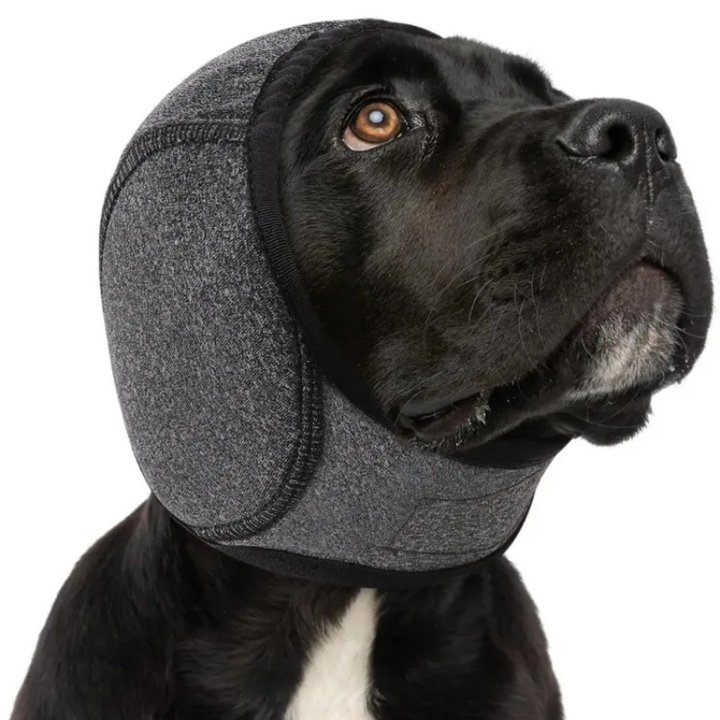 Dog Ear Hood with Waterproof Polyester and Noise Muffling, Four Sizes