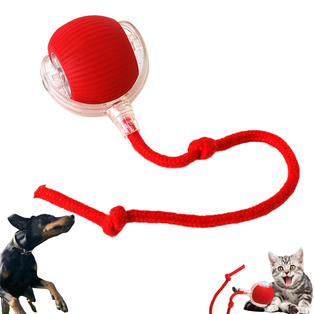 Interactive Rolling Pet Ball with Touch Activation and Erratic Movement Patterns