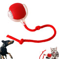Interactive Rolling Pet Ball with Touch Activation and Erratic Movement Patterns