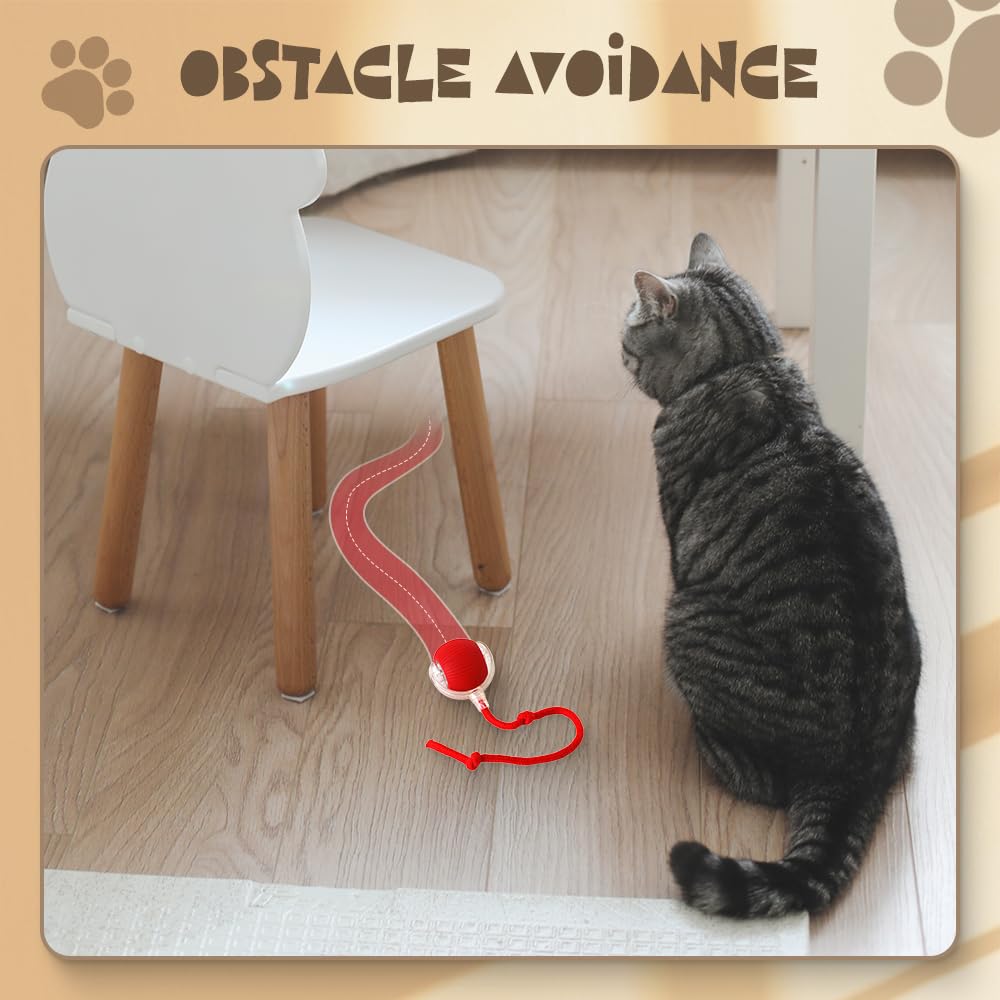 Interactive Rolling Pet Ball with Touch Activation and Erratic Movement Patterns