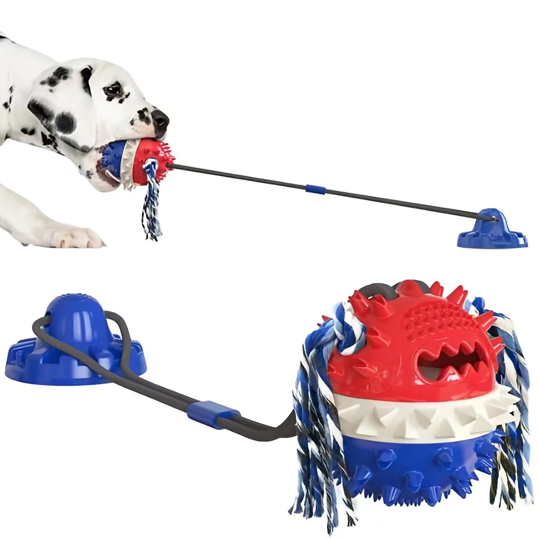 Interactive Self-Playing Pet Toy