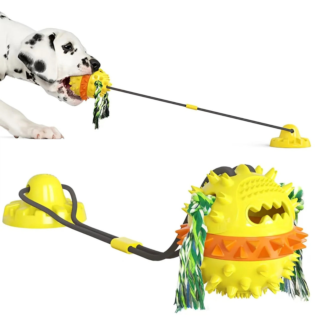 Interactive Self-Playing Pet Toy
