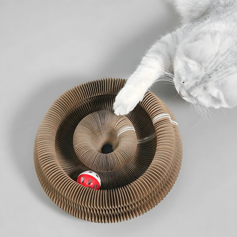 Cardboard Cat Maze with Magnetic Folding Design and Bell Ball Toy