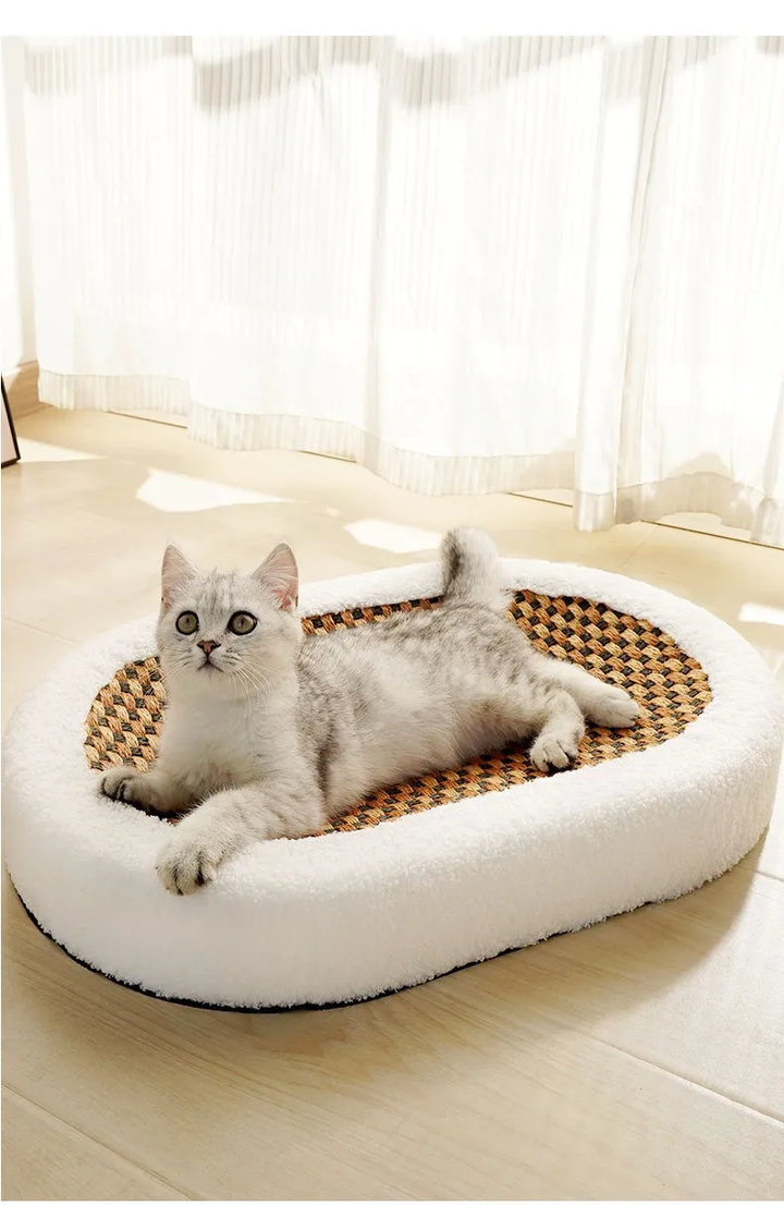 Scratch Board for Cats Cardboard and Sisal Material