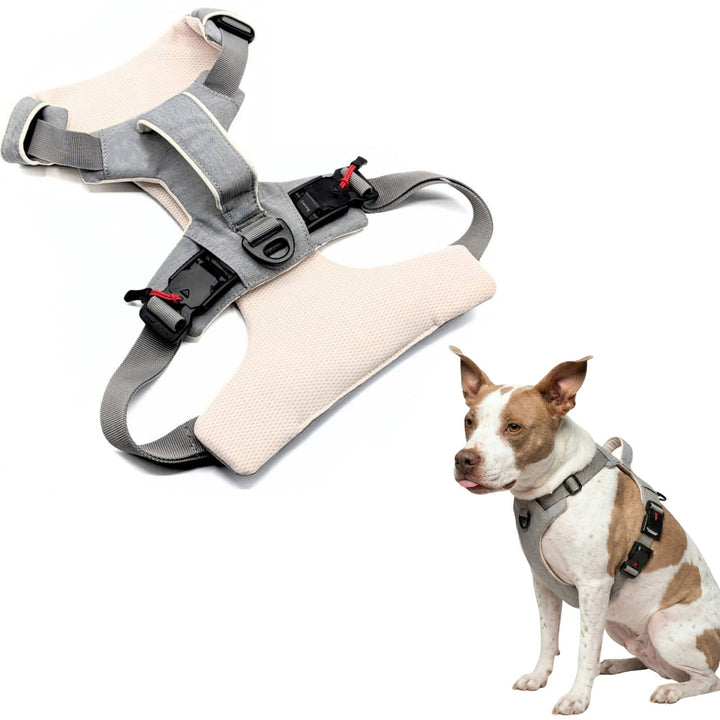 Magnetic Dog Harness, One Hand Clip, No Pull Design