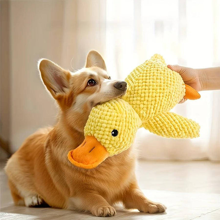 Duck Toy for Anxious Dogs