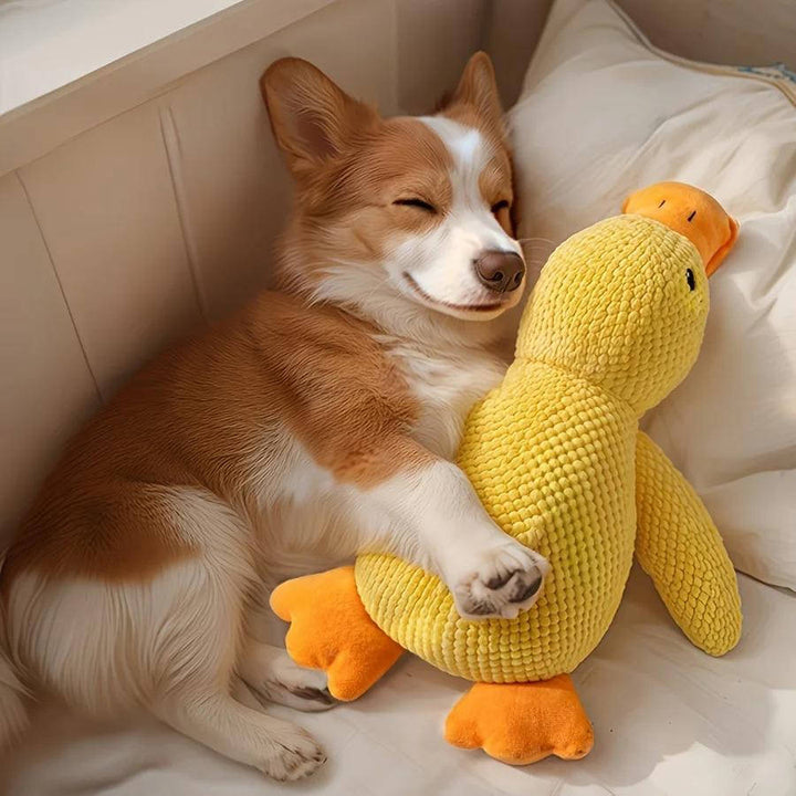 Duck Toy for Anxious Dogs