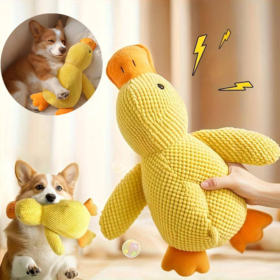 Duck Toy for Anxious Dogs