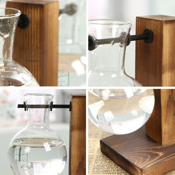 Hydroponic Plant Vase with Natural Wood Frame and Clear Glass Reservoir, 20.2 oz Capacity