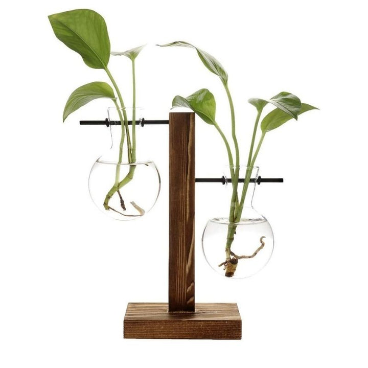 Hydroponic Plant Vase with Natural Wood Frame and Clear Glass Reservoir, 20.2 oz Capacity
