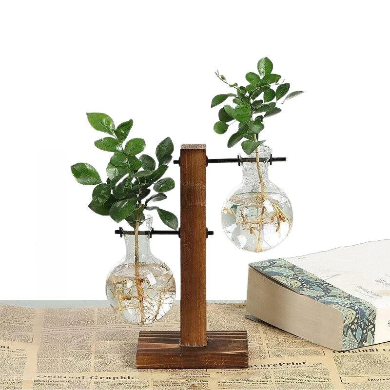 Hydroponic Plant Vase with Natural Wood Frame and Clear Glass Reservoir, 20.2 oz Capacity