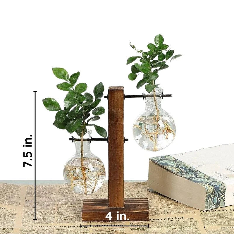Hydroponic Plant Vase with Natural Wood Frame and Clear Glass Reservoir, 20.2 oz Capacity