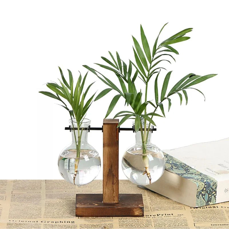 Hydroponic Plant Vase with Natural Wood Frame and Clear Glass Reservoir, 20.2 oz Capacity
