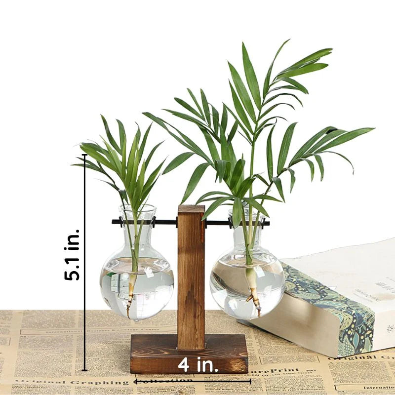 Hydroponic Plant Vase with Natural Wood Frame and Clear Glass Reservoir, 20.2 oz Capacity
