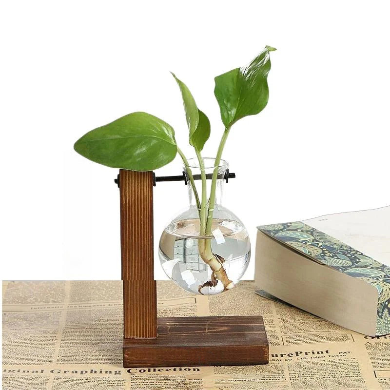 Hydroponic Plant Vase with Natural Wood Frame and Clear Glass Reservoir, 20.2 oz Capacity