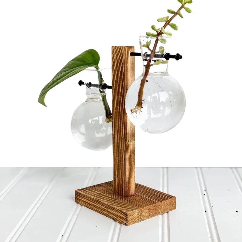 Hydroponic Plant Vase with Natural Wood Frame and Clear Glass Reservoir, 20.2 oz Capacity