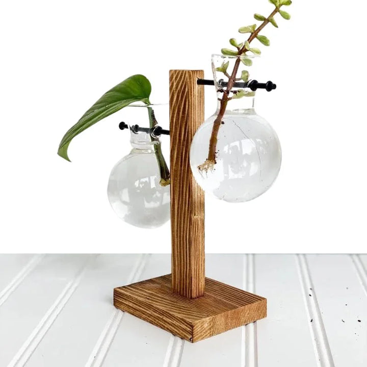 Hydroponic Plant Vase with Natural Wood Frame and Clear Glass Reservoir, 20.2 oz Capacity