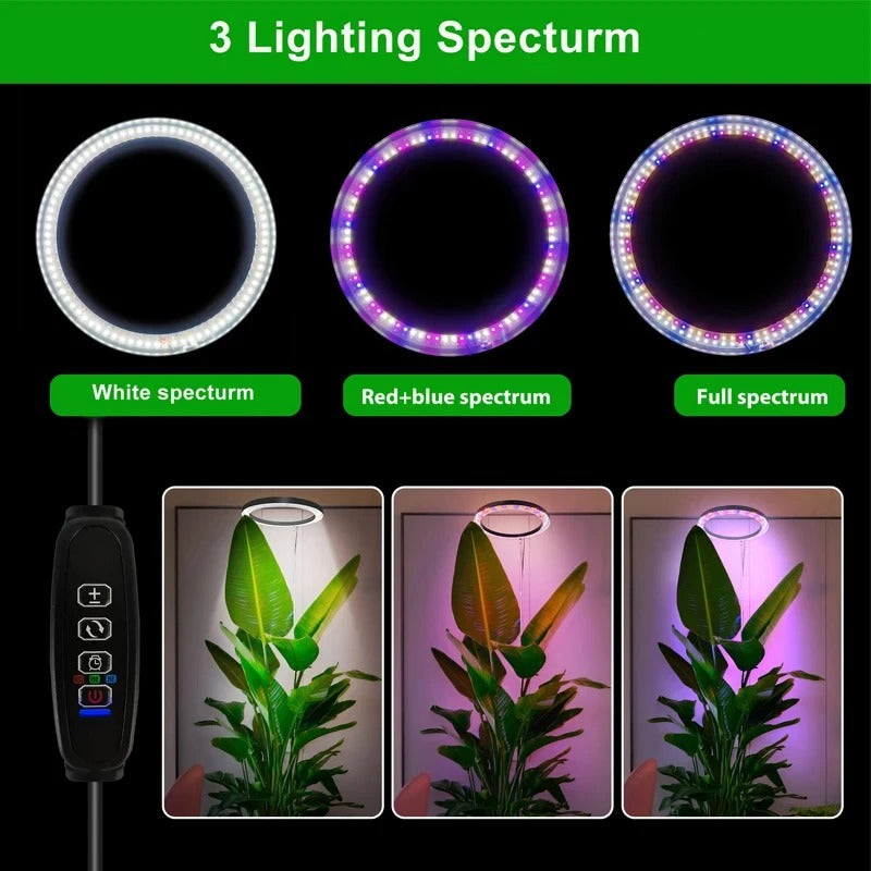 Full Spectrum LED Ring Light with Telescoping Stand and Adjustable Brightness for Indoor Plants