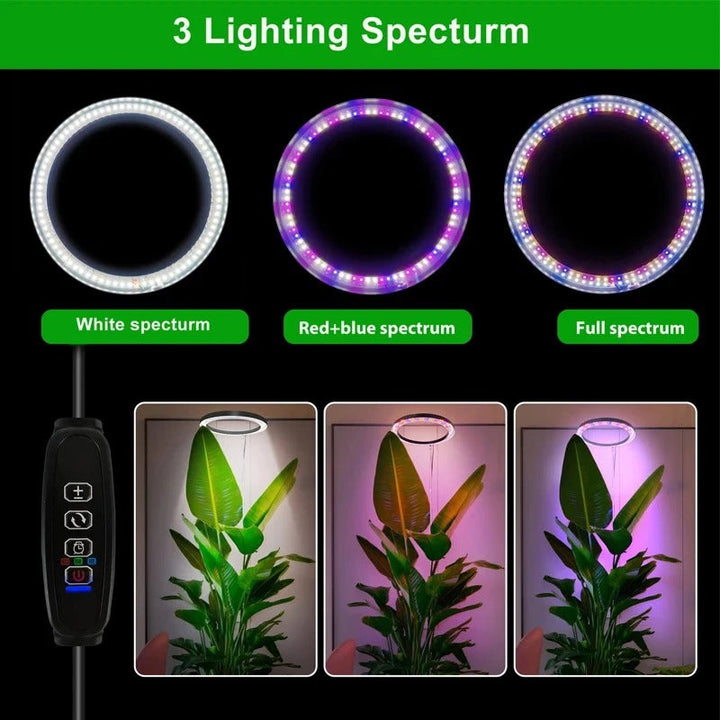 Full Spectrum LED Ring Light with Telescoping Stand and Adjustable Brightness for Indoor Plants