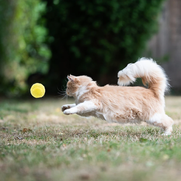 Interactive Dog Toy Ball with Random Rolling Action and Removable Fabric Cover