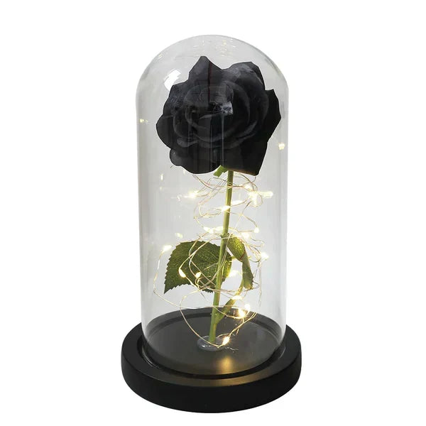 Preserved Rose with LED Dome Display and Battery Power