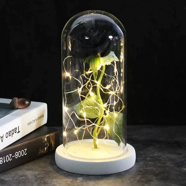 Preserved Rose with LED Dome Display and Battery Power