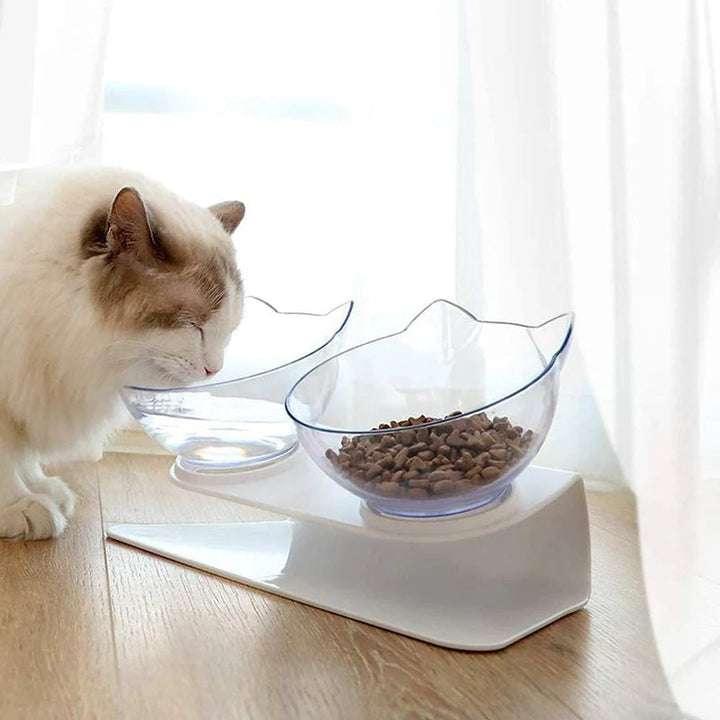 Orthopaedic Elevated Cat Bowl