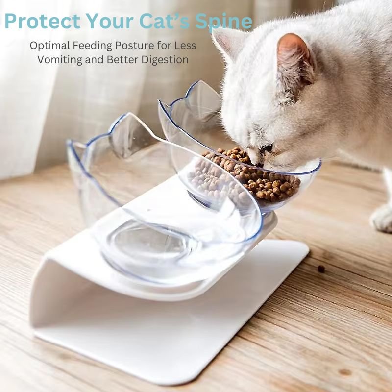 Orthopaedic Elevated Cat Bowl
