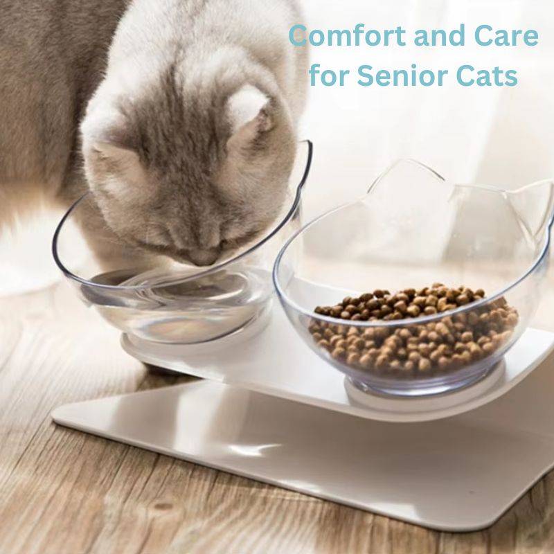 Orthopaedic Elevated Cat Bowl