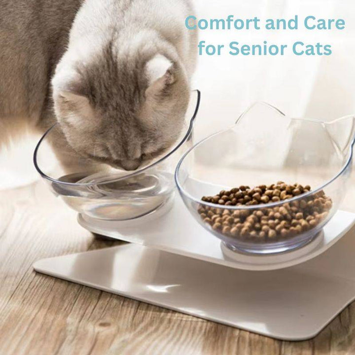 Orthopaedic Elevated Cat Bowl