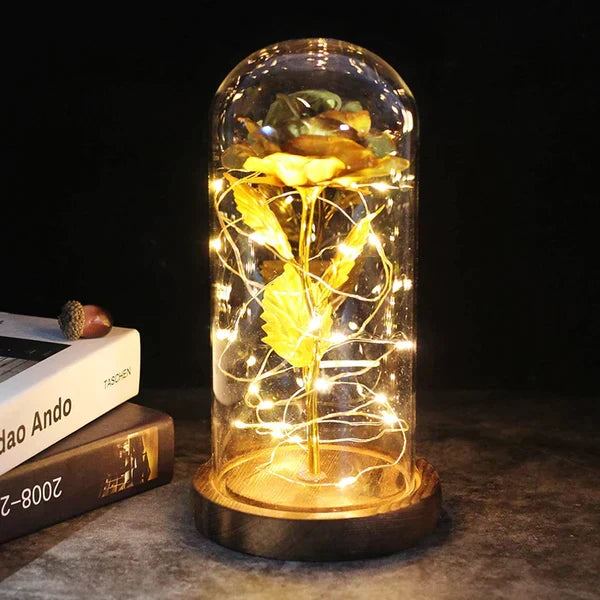 Preserved Rose with LED Dome Display and Battery Power