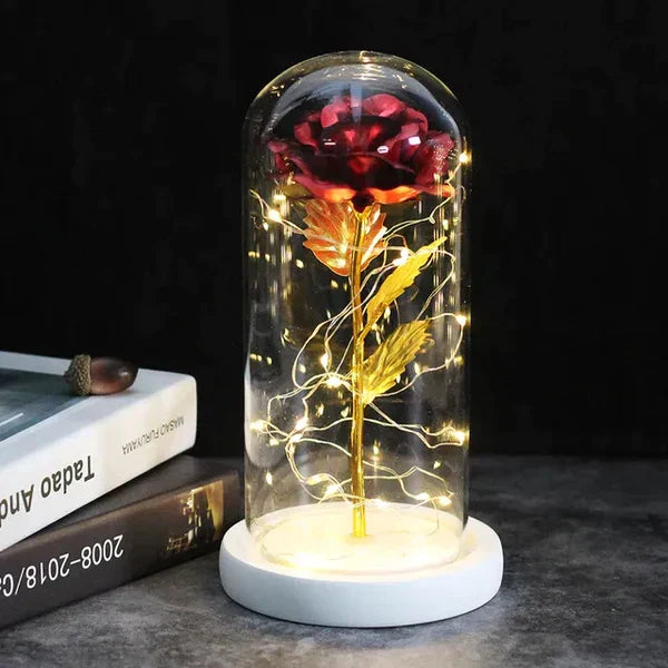 Preserved Rose with LED Dome Display and Battery Power