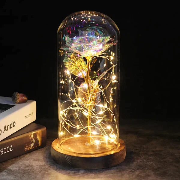 Preserved Rose with LED Dome Display and Battery Power