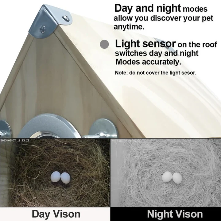 Bird Watching Nesting Feeder Nest