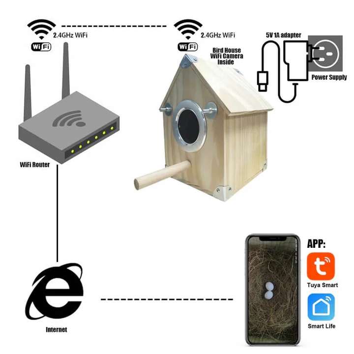 Bird Watching Nesting Feeder Nest