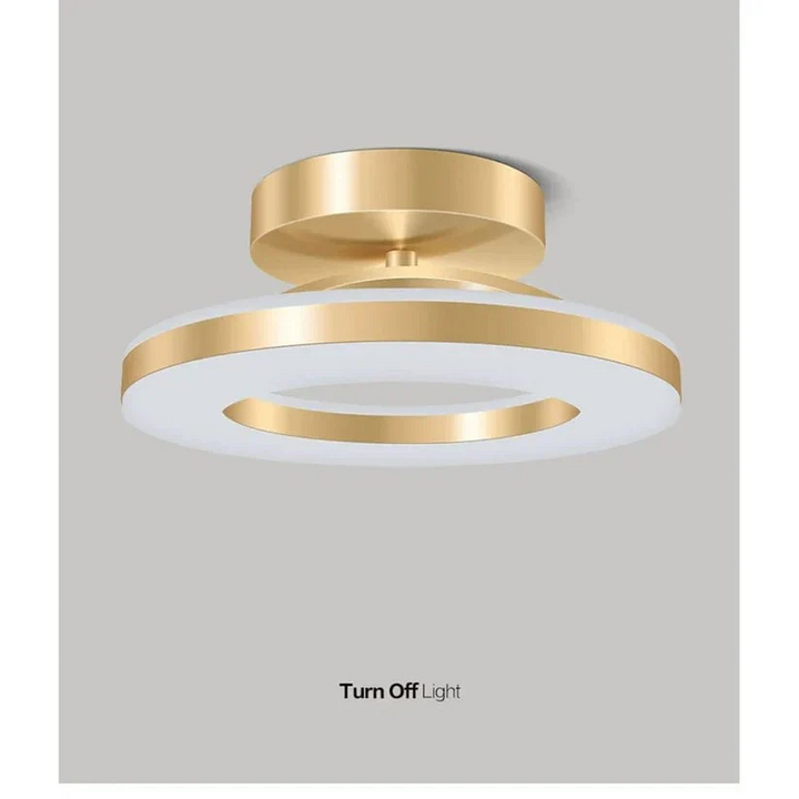 LED Ceiling Light Fixture