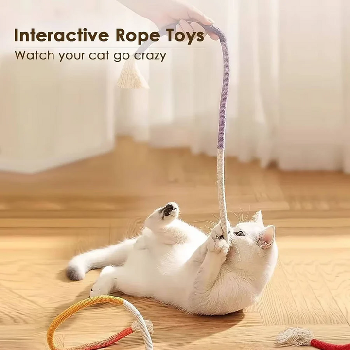 Cat Chew Toys for Healthy Play