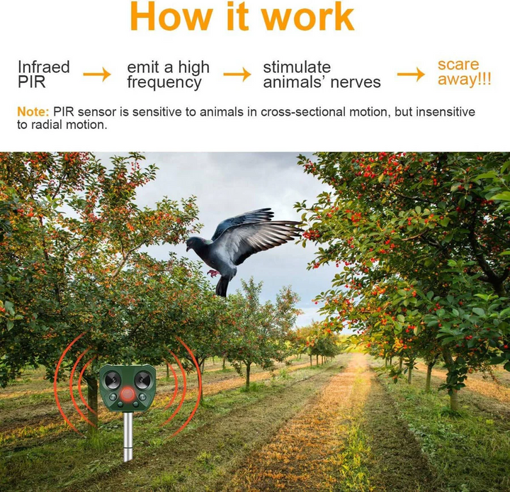 Pigeon Bird Scarer Ultrasonic and Pest Defender