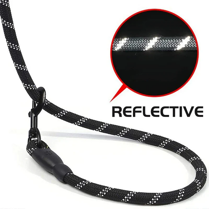 Reflective Dog Leash with Comfortable Padded Handle